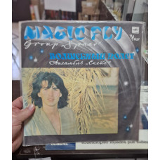 Виниловый диск Space Magic fly Виниловый диск Space Magic fly