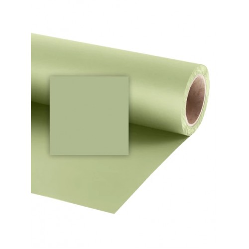 Raylab Фон бумажный 019 Tropical Green светло-зеленый 2.72x11 м